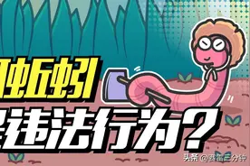 小小蚯蚓，竟被“中央一号文件“点名保护！它到底有多重要图片