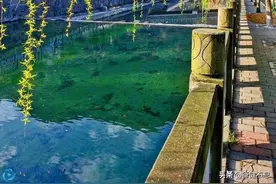 一枝杨柳，一曲离歌：十首著名唐诗，展示大唐文人的折柳情结图片