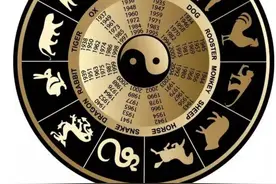 俗语：“男怕属鸡，女怕属羊”，老祖宗为啥这样说？有何道理吗？图片