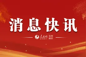 贵州“十四五”期间将发展山桐子产业100万亩图片