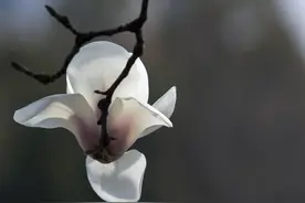 人到了一定的年纪，就要学会沉默，知足常乐图片