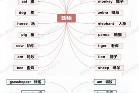 小学英语单词思维导图（可打印）图片