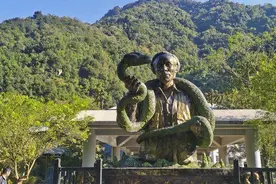 我国毒蛇小青龙，总是遭到国外“惦记”，为什么一条价值100万？图片