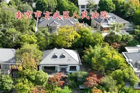 克莉丝汀因巨额债务全面关店，执行董事南京千万豪宅被拍卖图片