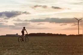 多地税务局要求艺人和主播年底前纠正涉税问题图片