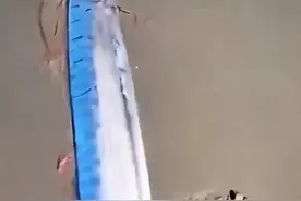 新西兰发现罕见的皇带鱼，属海洋最长的硬骨鱼，疑似深海气候异常图片