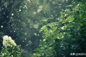 一下雨就犯困？原来不是因为懒……图片