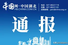 涉案金额近2亿元！凯乐科技与招商银行官司一审宣判图片