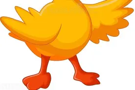 趣闻！鸭子排队过马路，引发路人围观图片