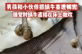 男孩抓蜗牛塞裤兜，睡觉时蜗牛满床爬，网友：这是要挨揍的节奏图片