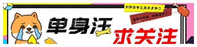 超薄智能手机(2023年最轻薄的手机)