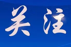 通化海关助力中药材出口提质扩量图片