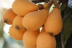 夫妻笑话，家庭笑话，幽默笑话，搞笑段子(三十七)图片