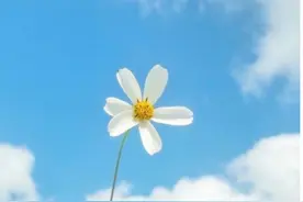 ppm是什么意思/1ppm相对于mg/m³图片