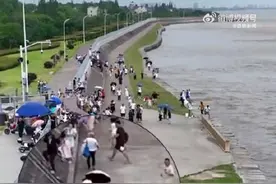 危险！钱塘江众多游客近距离观潮被卷入图片