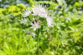 好日子都是靠奋斗出来的图片