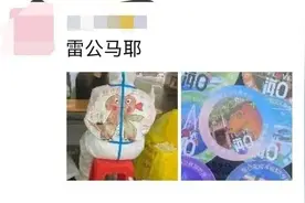 出圈的“雷公马”，还有这些海南故事……图片