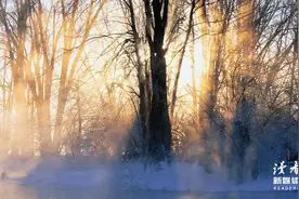 千万不要让儿女从事这3种工作，钱再多也别做，坚持再久也没前途图片