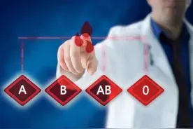 A型血和B型血的父母能生出O型血的孩子嘛？图片