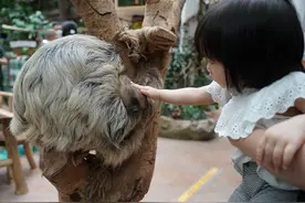 儿童节正佳雨林生态植物园萌宝齐出动图片