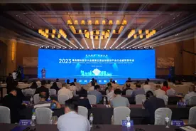 站上时代风口，预见产业风向！青岛再迎盛会，点亮新“视”界图片