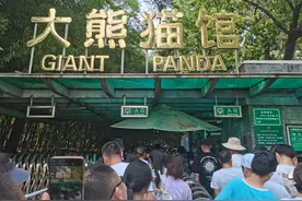 我在北京见到了网红萌兰？被视频拍到了？图片