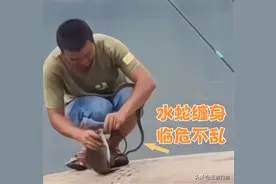 江苏男子垂钓时遭水蛇缠身，稳坐钓鱼台扬竿遛鱼，网友：开眼界了图片