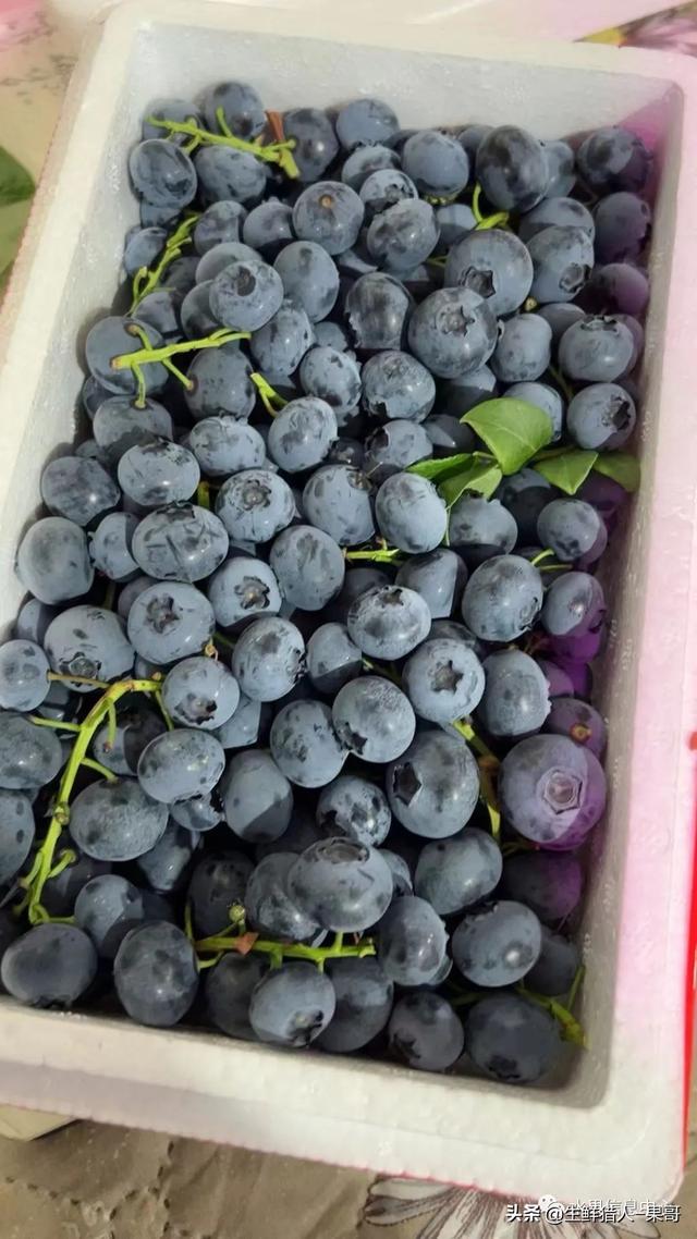 盐水泡菠萝可以放多久 菠萝可以放多久