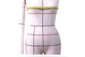 插播：图解服装结构各部位名称（一更）图片