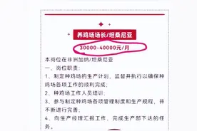 企业招人去非洲养鸡月薪4万，专家回应：如果是普通养殖人员，每月工资只有1000多元，但当地不加班图片