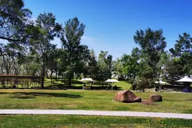 ​一起“粽”情一起“嗨”！这个端午节，太阳岛风景区“好戏”不停歇图片