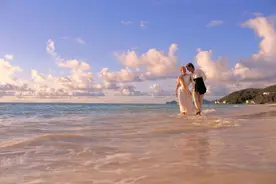 完美伴侣第33集：陈珊和林庆昆惺惺相惜图片