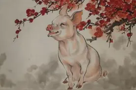 属猪生在几月头脑敏锐，下半年发财致富，贵人相助，生活不再忧愁图片