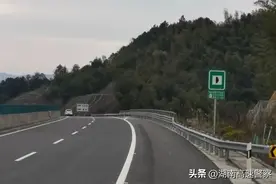 “它突然从港湾窜出来，我根本来不及躲！”图片