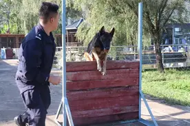 警察节特辑——警犬训导员和他的“最佳拍档”图片