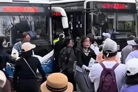 老年团拦车堵路后续！杭州文旅沉默，警察来都没用，处理结果亮了图片