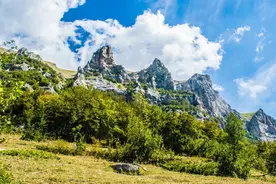 命苦不苦，就看五十五？不想命苦，55岁以后要看清这3点图片