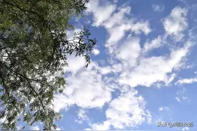 《论语·卫灵公》25:看别人的好处，说别人的优点，论人要有根据图片