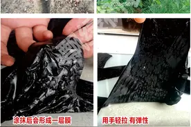四大杆部病害早发现，早防治图片