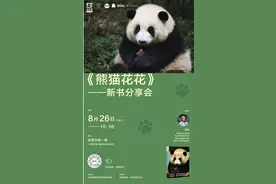 顶流大熊猫“花花”来双流啦！图片