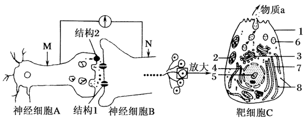 河南名校！省实验中学2021-2022学年高三上学期期中生物试题答案