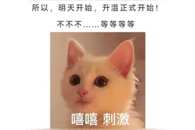 明日起新一股冷空气来袭 气温震荡 风沙不止图片