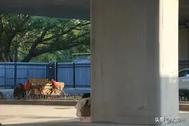 流浪人间的他们，这或许就是家！图片