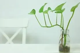 在人间修炼，感悟世间万物图片