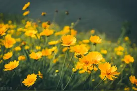 致远方的灵魂爱人：我在想你，每天每夜，你都在我心里图片