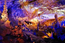 .5·19，免费游陇南~图片