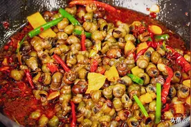 麻辣田螺学会这种做法，肉质鲜嫩好吃又入味，下酒又下饭图片