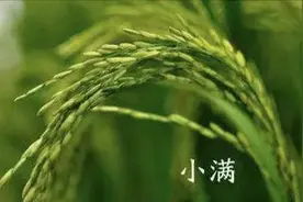 七绝·小满图片