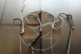 《话说欧鲤钓》之综述图片