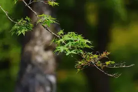 君子与小人的10大区别图片